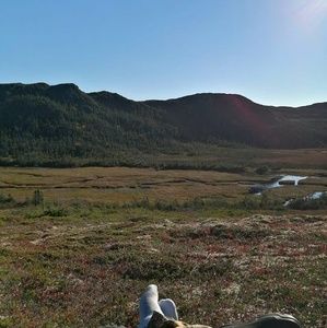 Meet your Posher, Derick